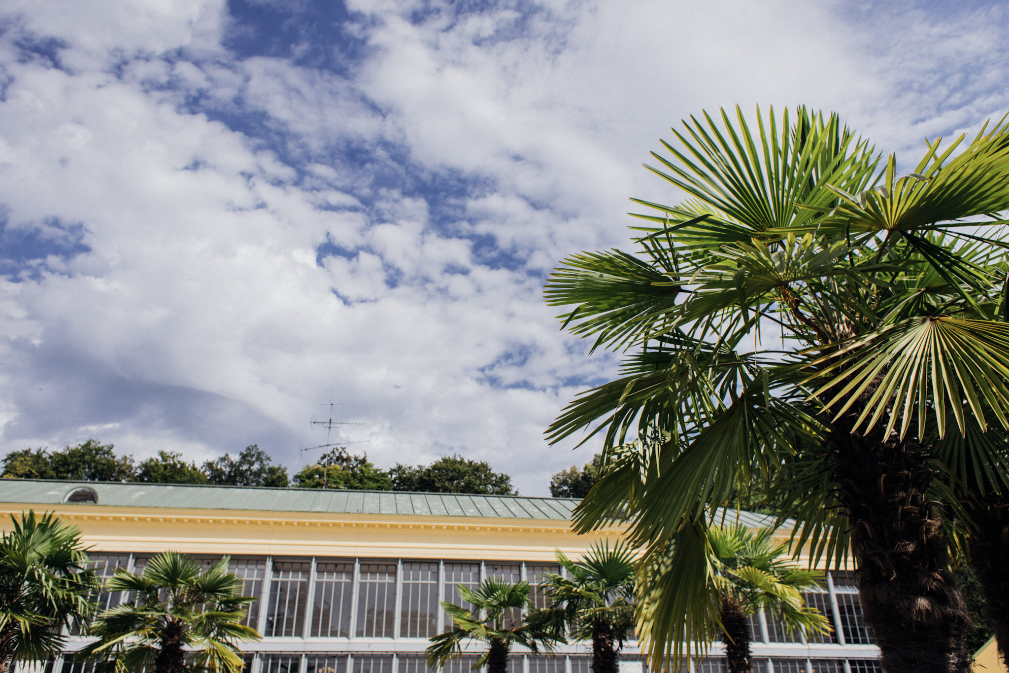 Veranstaltung im Palmenhaus