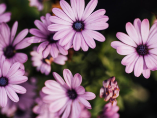 Schlosscafé Schlosspark Nymphenburg